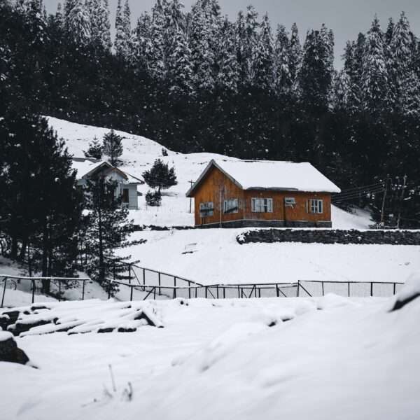 jammu kashmir winter tour