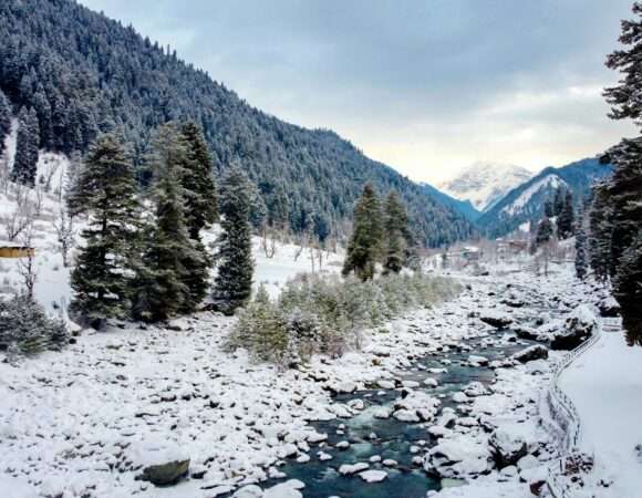 Customizable _Best of Kashmir