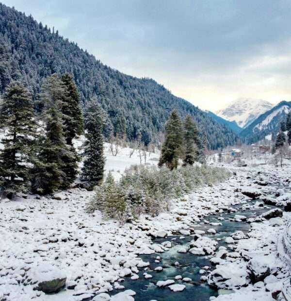 Customizable _Best of Kashmir