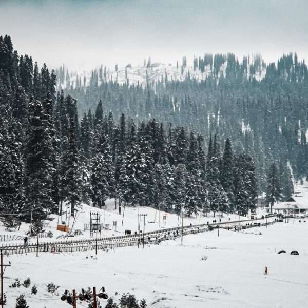 Snow Sestival Tour Kashmir