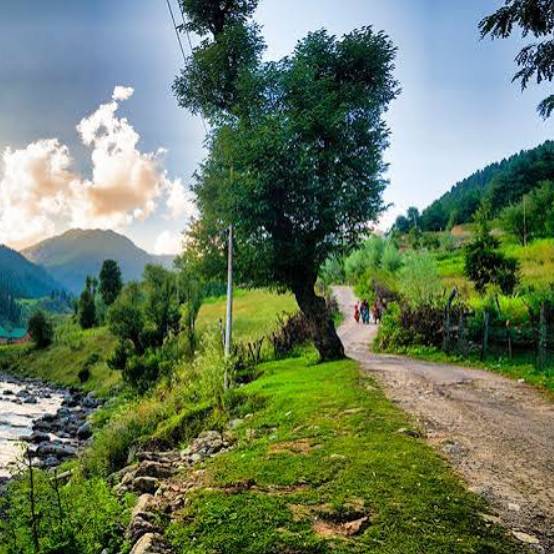 Betaab Valley Pahalgam