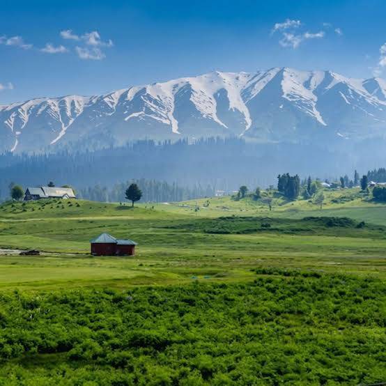 Gulmarg Meadow