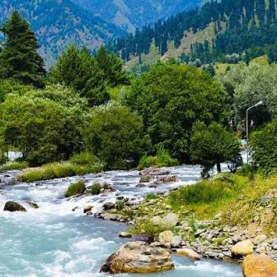 Lidder River Pahalgam