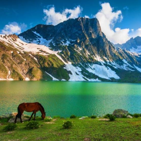 Sonamarg Meadows Kashmir