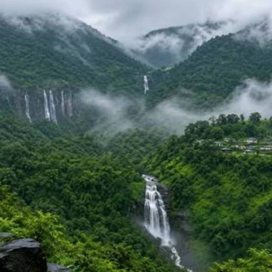 Doodhpathri Nature