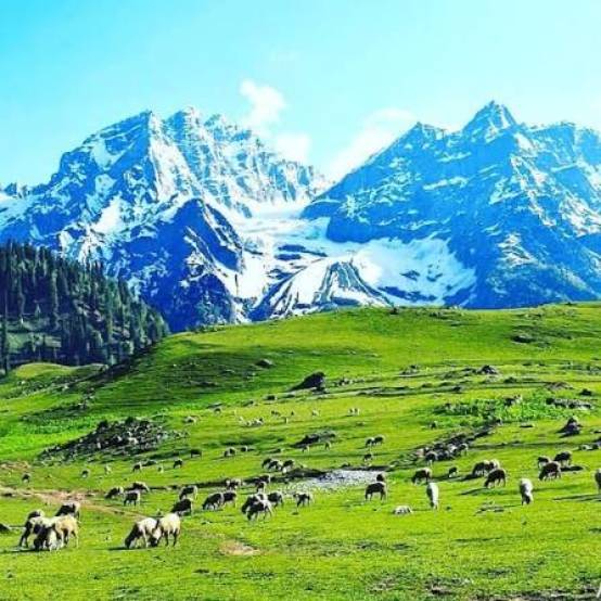 Zoji La Pass Kashmir
