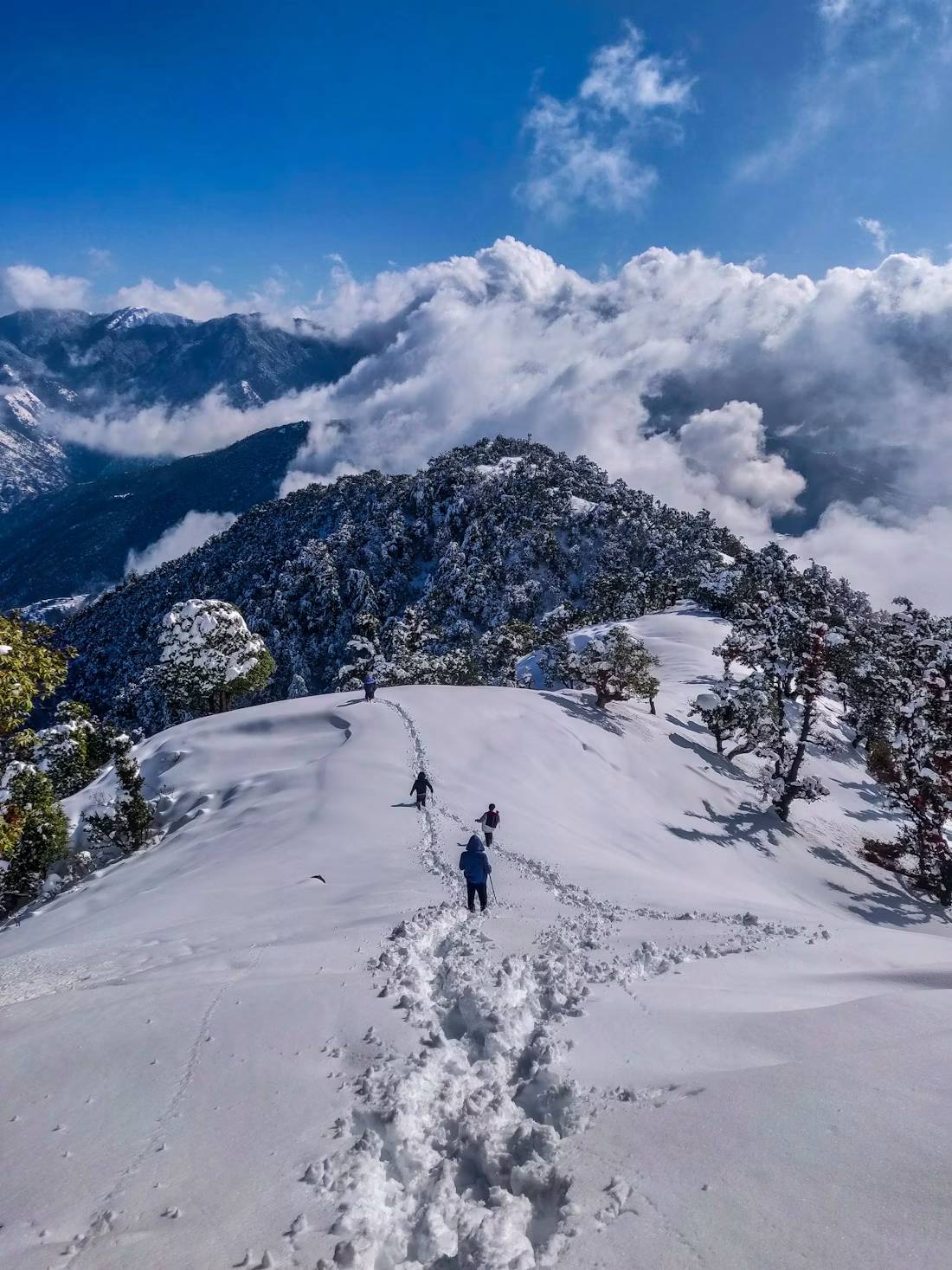 Gulmarg Kashmir